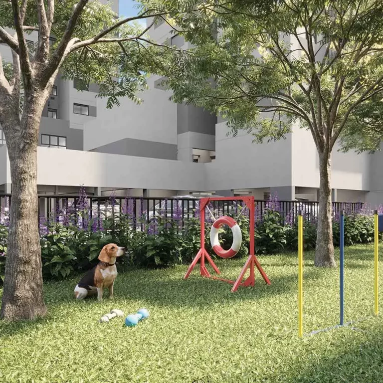 moved-osasco-petplace
